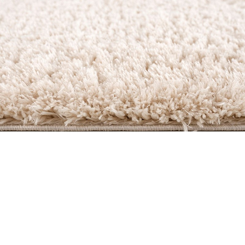 Camdyn Super Soft Polyester Shag Area Rug