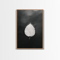 Floating Leaf, Still Water, Autumn Calm, Canvas Print