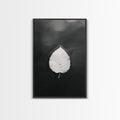 Floating Leaf, Still Water, Autumn Calm, Canvas Print