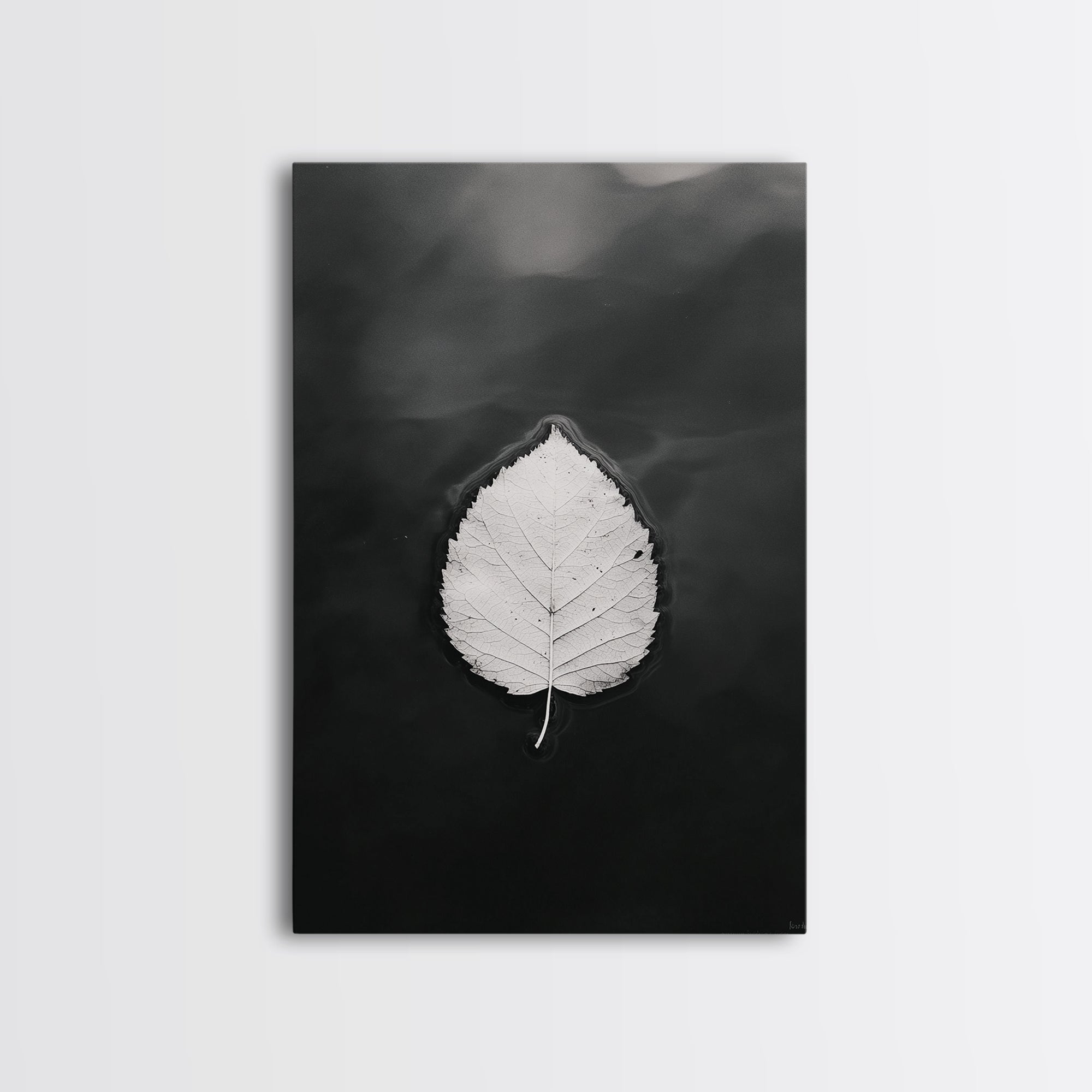Floating Leaf, Still Water, Autumn Calm, Canvas Print Main image