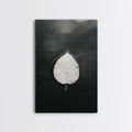 Floating Leaf, Still Water, Autumn Calm, Canvas Print