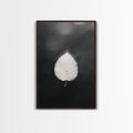 Floating Leaf, Still Water, Autumn Calm, Canvas Print