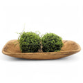 2 Color Options- 17"-20.5" Baguette Dough Bowl, The Barren Decorative Bowl, Table Center Piece Farmhouse Brown Or Rustic White - Ranch Junkie LLC 