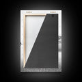 Mountain Mirror Canvas Wall Art