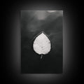 Floating Leaf Canvas Wall Art